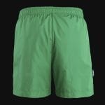 Pantaloncini da bagno da uomo Verdant One - 04