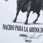 T-Shirt da uomo bianca - Plaza De Toros - 07