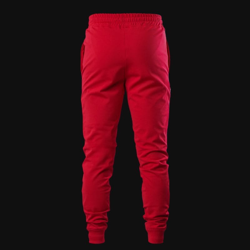 Pantaloni sportivi da uomo - Red Pulse - 06